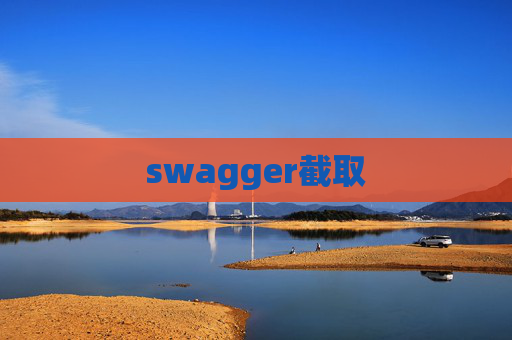 swagger截取